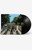 Men's The Beatles Abbey Road 50th Anniversary Vinyl Record - 0685601190811