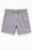 Pacsun Men's Silver Collegiate 6.5" Swim Trunks - 0150609530086