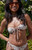 Pacsun Women's Animal Print Bessy Bandeau Bikini Top - 0810451180728601