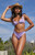 Pacsun Women's Purple Lotus Shine V Shirred High Cut Bikini Bottom - 0811451180715054
