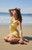 Beverly and Beck Women's Cecily Crochet Mini Dress - 0740609850030