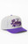 Mitchell & Ness Men's NBA LA Lakers Tail Sweep Pro Snapback Hat - 0641514810041