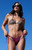 Pacsun Women's Plum Animal Print Summer Reversible Triangle Bikini Top - 0810451180017093