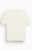 Pacsun Men's Basic Reece T-Shirt - 0120468680413