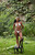 Pacsun Women's White Juno Scrunch Binded Side Tie Bikini Bottom - 0811451180248010