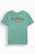 Billabong Men's Pure Intentions Premium T-Shirt - 0097611030018