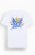 Brixton Men's Fantasy T-Shirt - 0097440200022