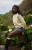 The Met Women's x Pacsun Logo Sweat Shorts - 0821461580046