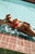 Pacsun Women's Red Sage Bandeau Bikini Top - 0810603490018060