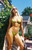 Pacsun Women's Green Octavia Shine Triangle Bikini Top - 0810603590107030