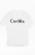 Carrots Men's x Playboy Wordmark Ringer T-Shirt - 0097603260992