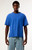 Pacsun Men's Blue Premium Cropped T-Shirt - 0120522805433