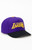 Mitchell & Ness Men's LA Lakers Legendary Away Pro Snapback Hat - 0641514810168