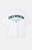 UPSIDE Men's Michigan State University Spartans Essential Oversized T-Shirt - 0230718010003