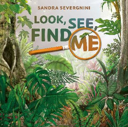 Look see find me