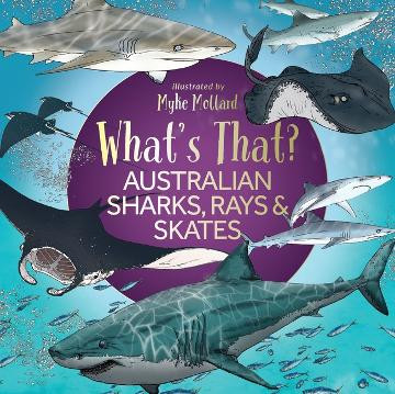 What’s That? Australian Sharks, Rays and Skates