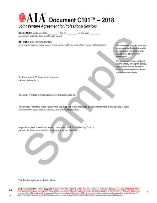 C101: Joint Venture Agreement for Professional Services