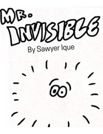 Mr. Invisible by Sawyer Ique