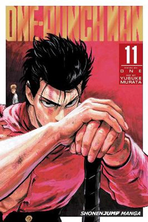 One-Punch Man, Vol. 11 ONE 9781421592268