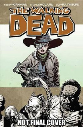 The Walking Dead Volume 18: What Comes After Robert Kirkman 9781607066873