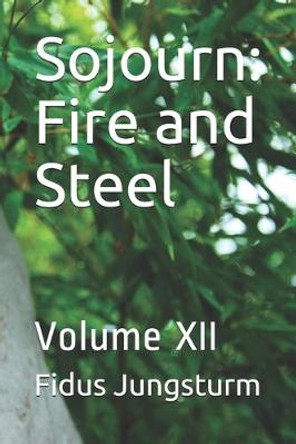 Sojourn: Fire and Steel: Volume XII Fidus Jungsturm 9781092944762