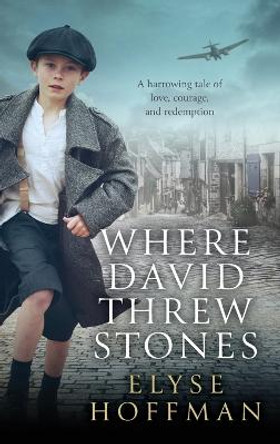 Where David Threw Stones Elyse Hoffman 9781952742101