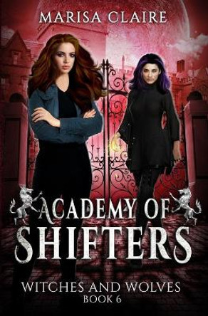 Academy of Shifters: Witches and Wolves (Veiled World) Marisa Claire 9798592877674