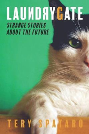Laundrygate: Strange Stories About the Future Bud Lavery 9798663472814