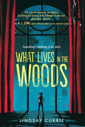 What Lives in the Woods Lindsay Currie 9781728245720