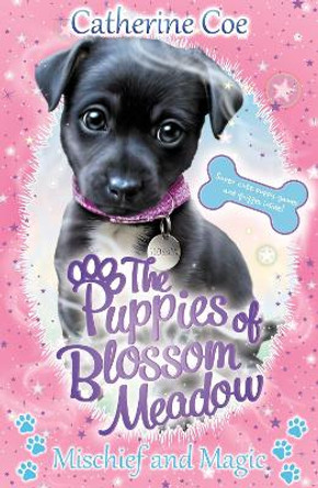 Mischief and Magic (Puppies of Blossom Meadow #2) Catherine Coe 9781407198675