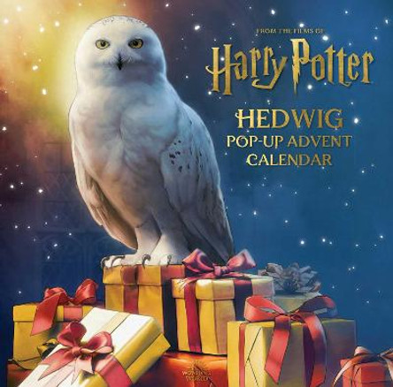 Harry Potter: Hedwig Pop-Up Advent Calendar Matthew Reinhart 9781647227609