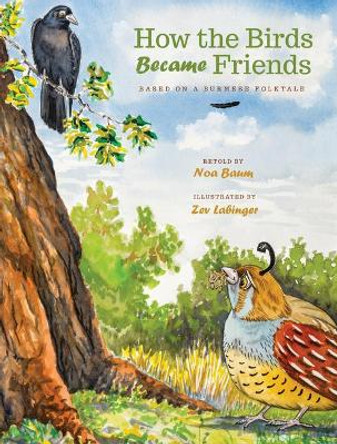 How the Birds Became Friends Noa Baum 9781641705615