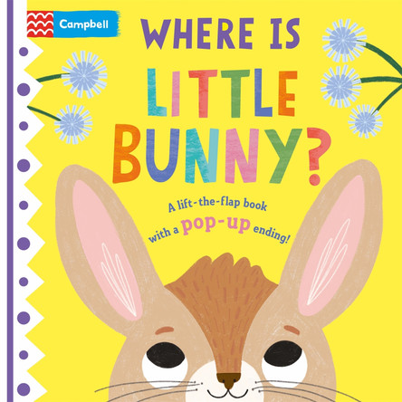 Where is Little Bunny? by Campbell Books