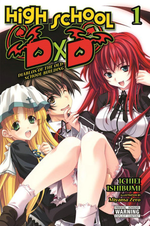 High School DxD, Vol. 1 (light novel) Ichiei Ishibumi 9781975312251