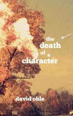 The Death of a Character David Ohle 9781734012699