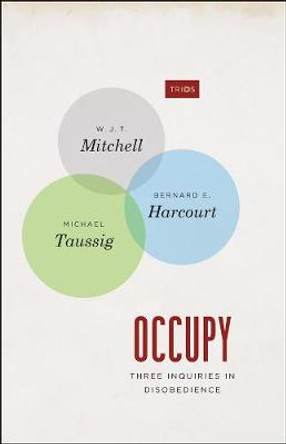 Occupy - Three Inquiries in Disobedience W. J. T. Mitchell 9780226042749