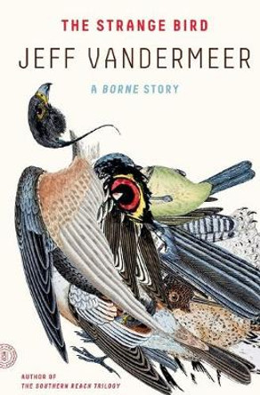 Strange Bird Jeff VanderMeer 9780374537920