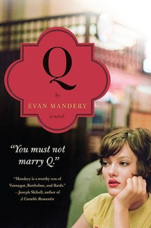 Q: A Novel Evan Mandery 9780062015839