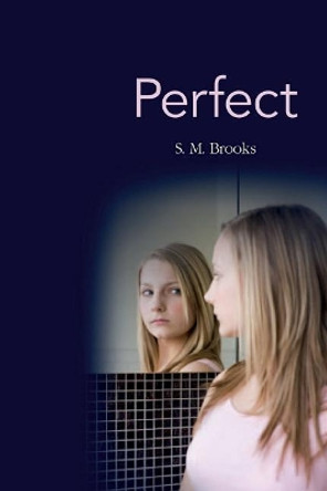 Perfect S M Brooks 9781500823030