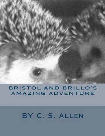 Bristol and Brillo's Amazing Adventure by C S Allen
