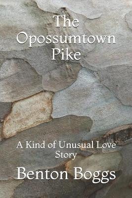 The Opossumtown Pike by Benton Boggs