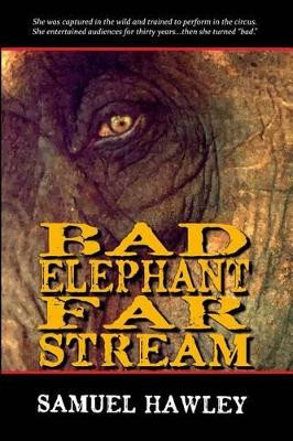 Bad Elephant Far Stream by Samuel Hawley