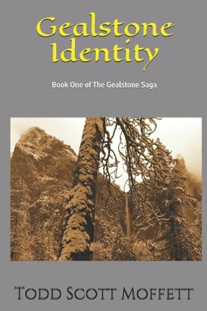 Gealstone Identity: Book One of The Gealstone Saga Todd Scott Moffett 9781097121175