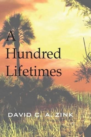 A Hundred Lifetimes David C a Zink 9781523270149