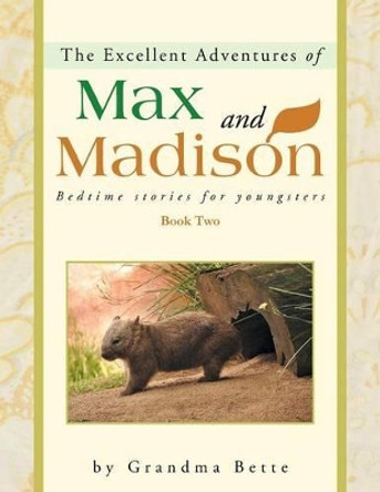 The Excellent Adventures of Max and Madison: Bedtime Stories for Youngsters Grandma Bette 9781452572666