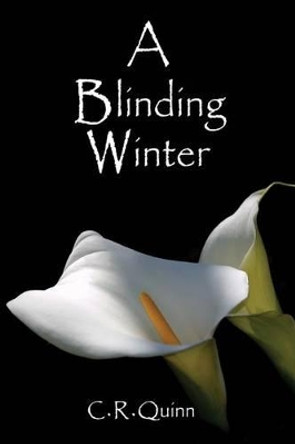 A Blinding Winter C R Quinn 9780692388327