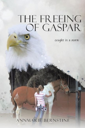 The Freeing of Gaspar: caught in a storm Annmarie Bernstine 9781504364843