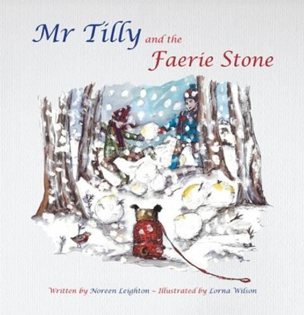 Mr Tilly and the Faerie Stone Noreen Leighton 9780993311406