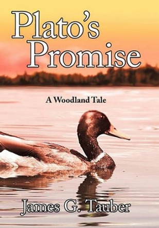 Plato's Promise James G Tauber 9781450233422