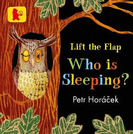 Who Is Sleeping? Petr Horacek 9781406377316